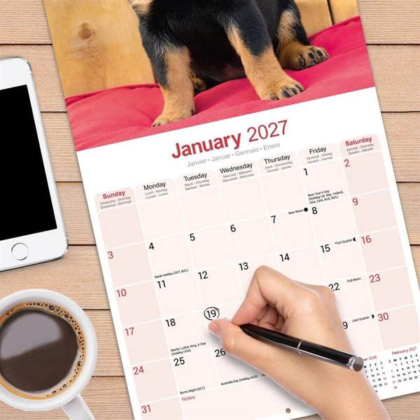 Rottweiler Puppies Calendar 2027, Wall Calendars, Month To View, Dogs, Gift
