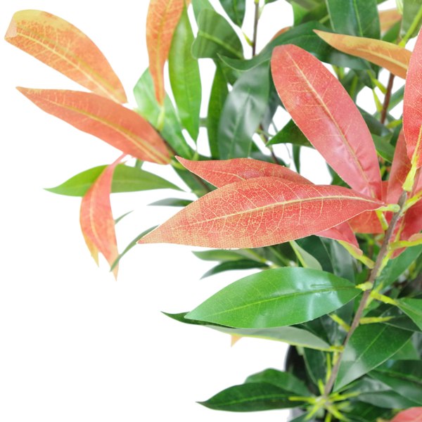 Leaf 80cm Artificial Red and Green Ficus Plant