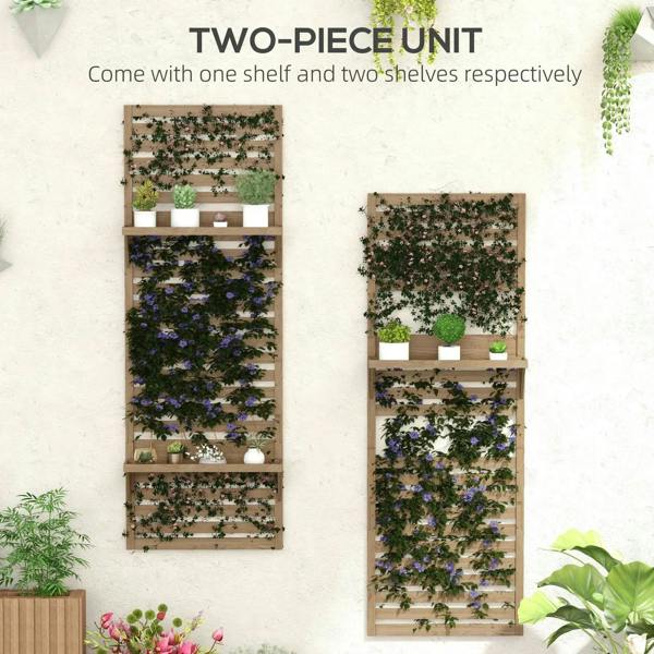 Two-piece set of wall-mounted fir wood plant stands with slatted trellis and open shelves