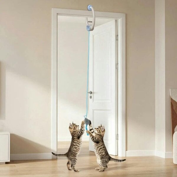 Interactive Cat Toys for Indoor Kittens & Adult USB Rechargeable Door Hanging Bouncing Mouse Teaser