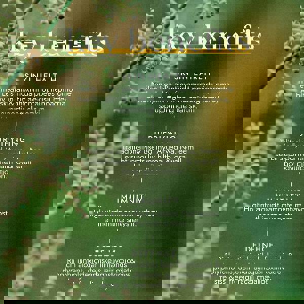 Fushi Single Herb Supplements Organic Neem Leaf x 60 Capsules - Additional 2