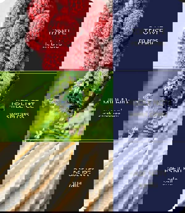 Heart & Home Baubles & Berries - Fragrance Diffuser