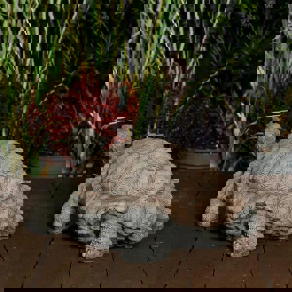 Medium Stone Cast Tortoise Garden Ornament 