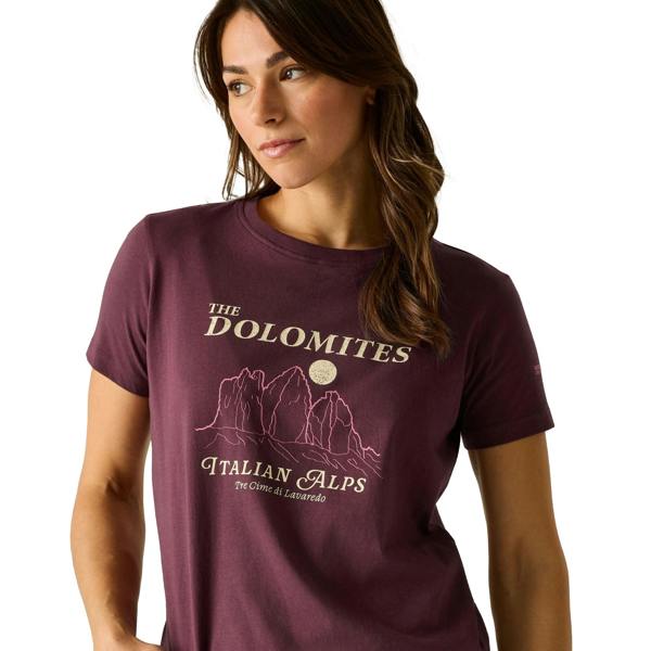 Regatta Womens/Ladies Filandra VX Dolomites T-Shirt - Fig - 