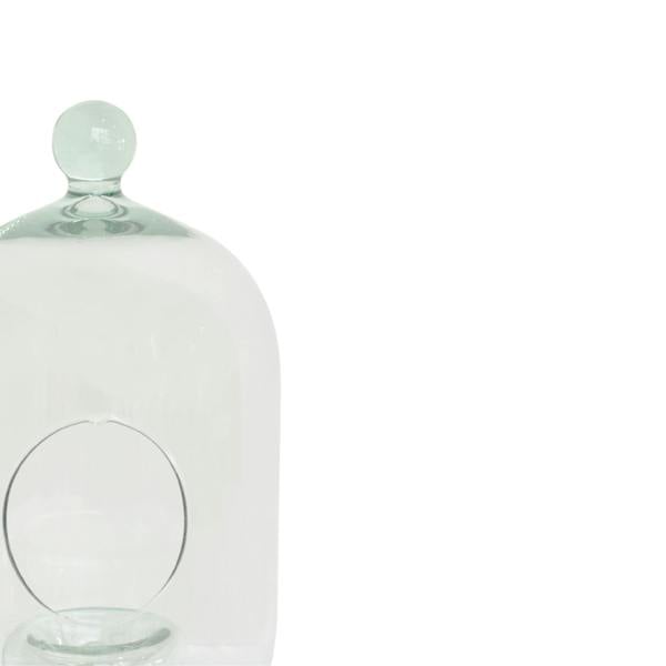 Ivyline Glass Bell Jar Open Terrarium