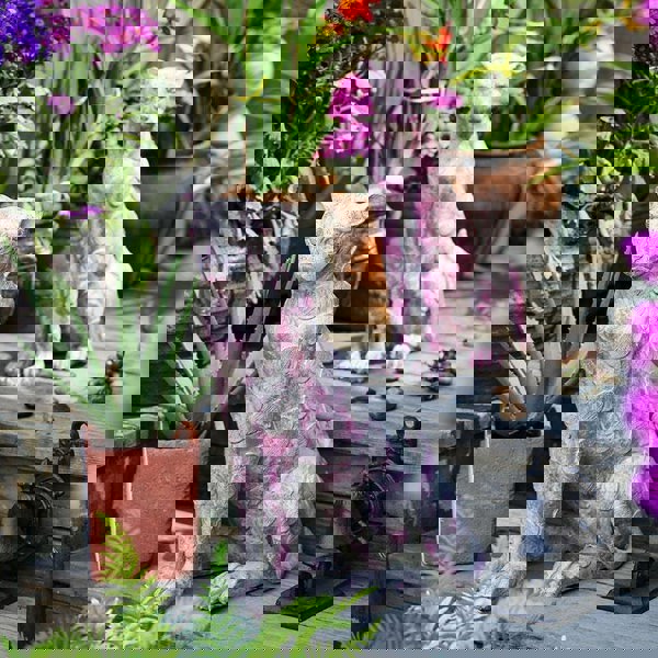 AN2 Garden Decoration, A Set Of Two Dog Statues-Weilai Concept-Weilai Concept