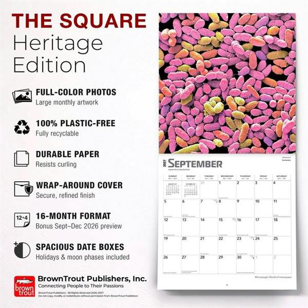 Microscopic World of Innerspace Calendar 2027, Wall Calendars, Month To View, Natural World, Gift