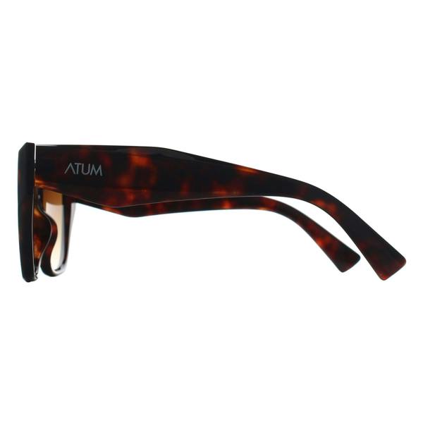 Atum Cat Eye Womens Brown Tortoise Brown Gradient Zenith Sunglasses