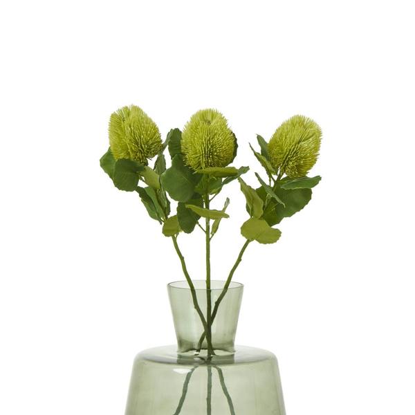 Wyld Haus Set of 3 Artificial Flowers Green Banksia Stems