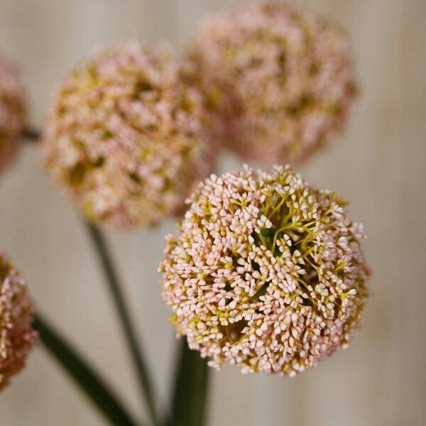 Wyld Haus Set of 3 Artificial Flowers Pink Allium Stems