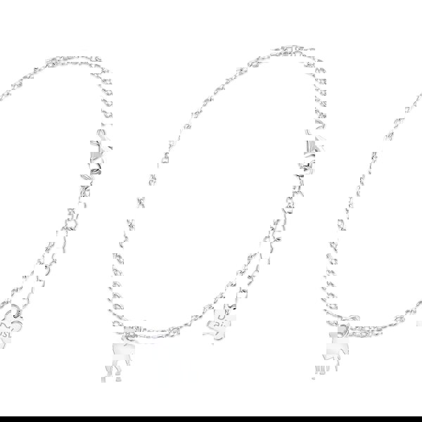 Mylee London Great Swiss Mountain Dog Silhouette Silver Chain Bracelet - Personalised
