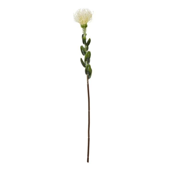 Wyld Haus Set of 3 Artificial Flowers Cream Pincushion Protea Sprays
