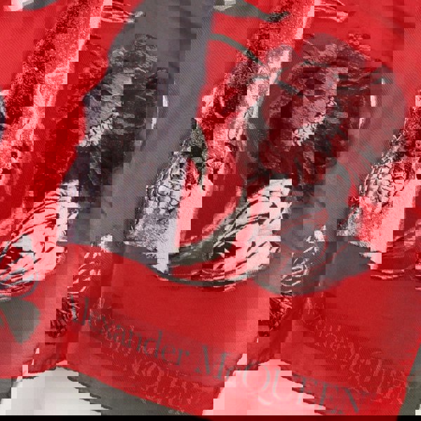 Alexander McQueen sheer chiffon silk blend scarf