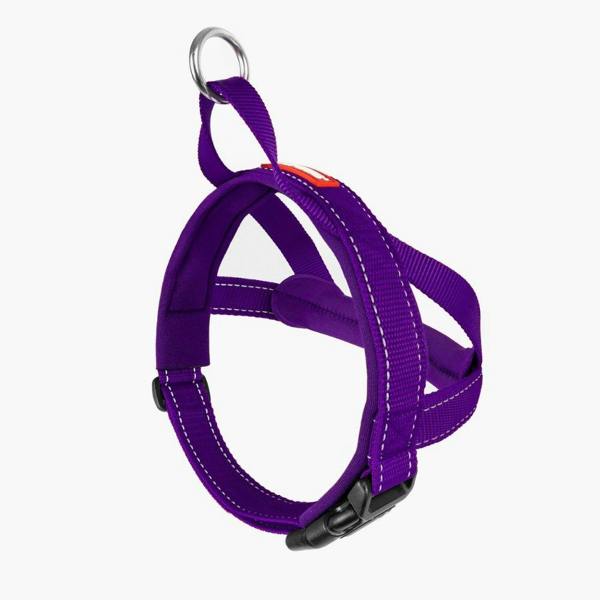 EzyDog Quick Fit Dog Harness in Purple