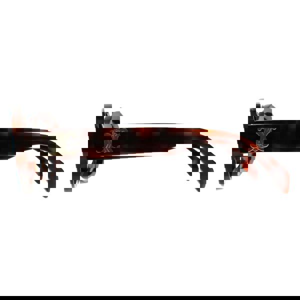 Celine Sunglasses CL40194U Triomphe 53A Shiny Havana Grey