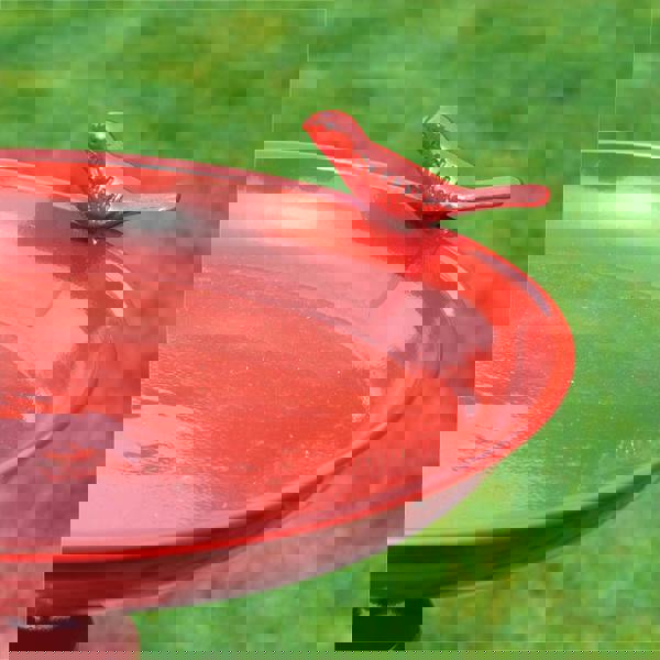 St Helens Ornamental Free Standing, Weather Resistant, Pedestal Style, Easy Assemble Bird Bath