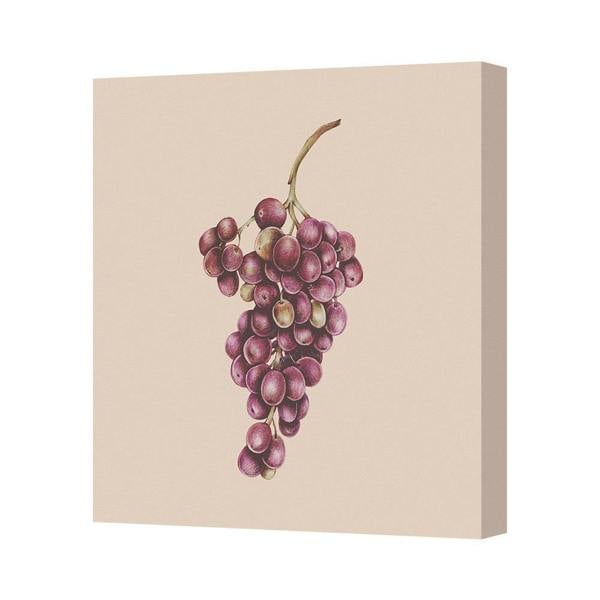 Benjamin Tate Design Grapes Wall Art Canvas Print On Beige Background Handmade In UK