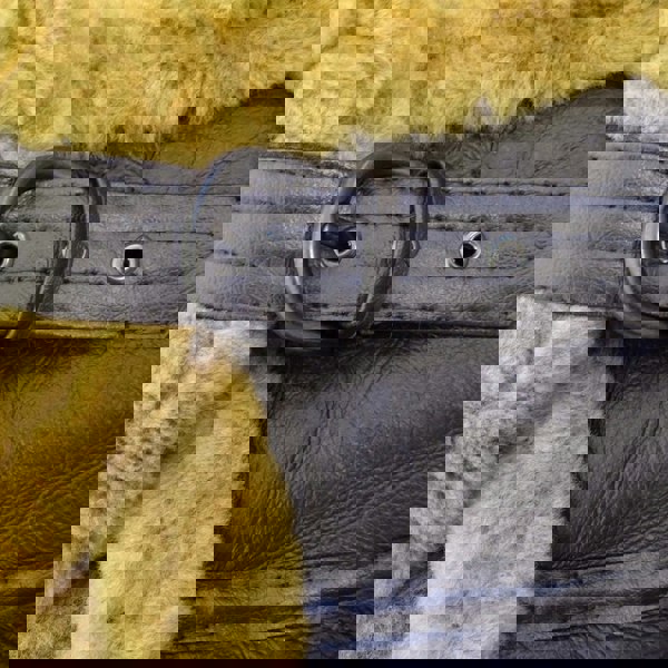 b3-chp_sheepskin-jacket_Brown-ginger_3XL, b3-chp_sheepskin-jacket_Brown-ginger_4XL, b3-chp_sheepskin-jacket_Brown-ginger_L, b3-chp_sheepskin-jacket_Brown-ginger_M, b3-chp_sheepskin-jacket_Brown-ginger_S, b3-chp_sheepskin-jacket_Brown-ginger_XL, b3-chp_sheepskin-jacket_Brown-ginger_XS, b3-chp_sheepskin-jacket_Brown-ginger_XXL