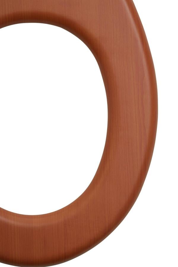 Maison by Premier Brooks Toilet Seat