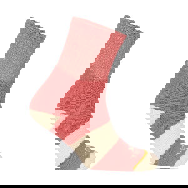 Trespass Womens/Ladies Wendall Socks (Pack of 5) - Indigo Tone/Heather Grey/Pink Haze - 