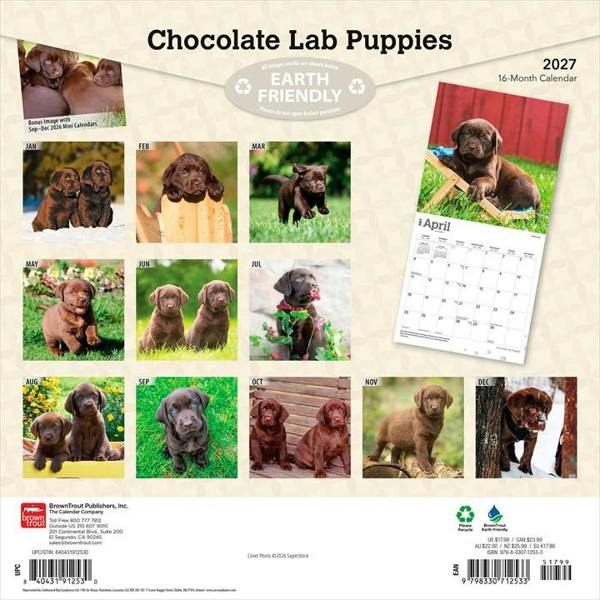 Chocolate Lab Puppies Calendar 2027, Wall Calendars, Month To View, Dogs, Gift