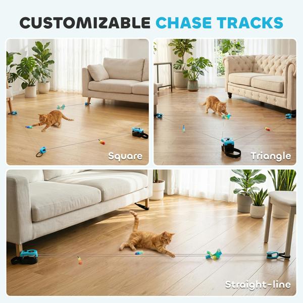 Cat Toys