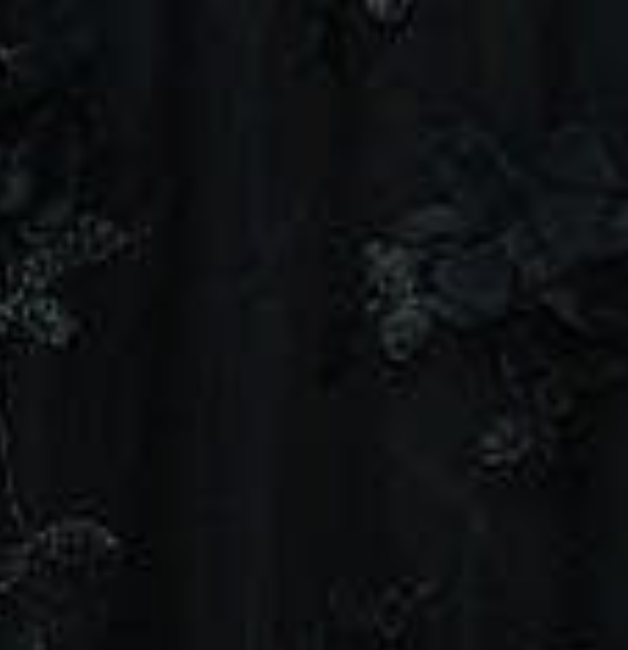 Izabel London Semi Sheer Embroidered Mesh Midi Skirt