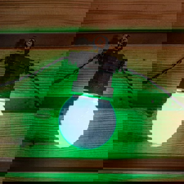 Samuel Alexander Set of 10 Indoor Outdoor Connectable Party Festoon Lights with Multi-Coloured LEDs