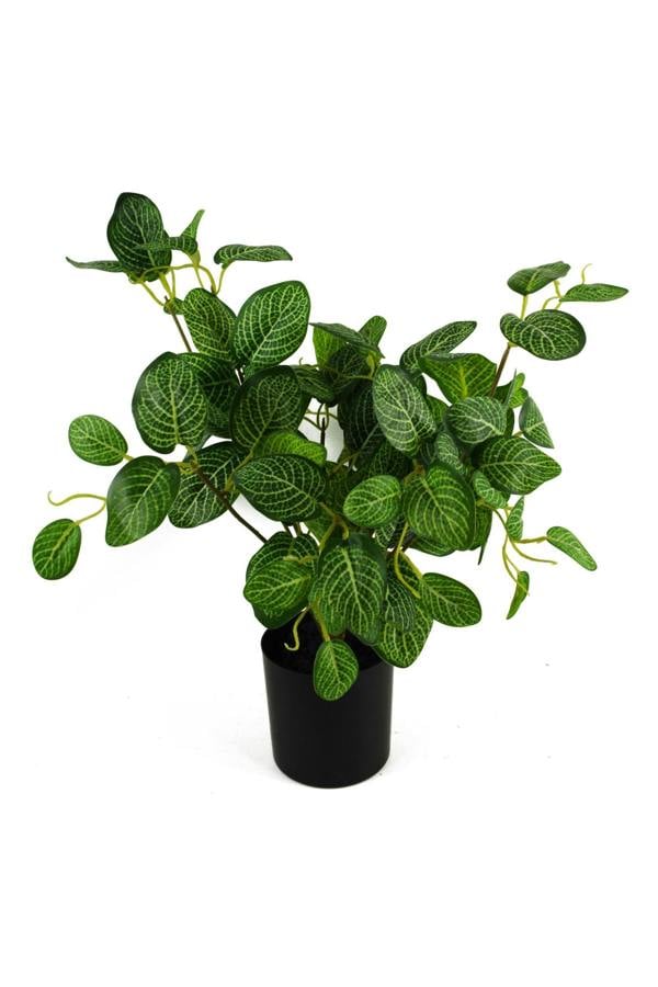 Dyzi Artificial Variegated Pothos Plant In Black Pot 40cm