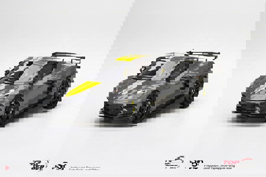 TSM Chevrolet Corvette Stingray IMSA GTLM Championship Hypersonic Grey 1:18 TSM TS0390