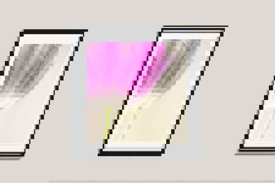 framed tulip flower artwork