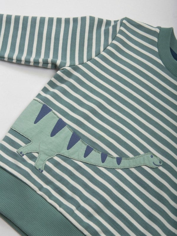 Kite Boys Organic Dippy Dino Sweatshirt