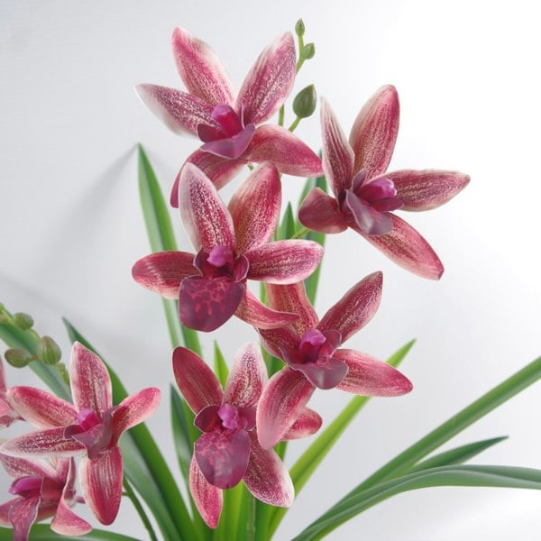 Leaf 50cm Large Dark Pink Artificial Orchid in Ceramic Planter