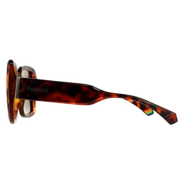 Polaroid Sunglasses PLD 6168/S 086 SP Dark Havana Bronze Polarized