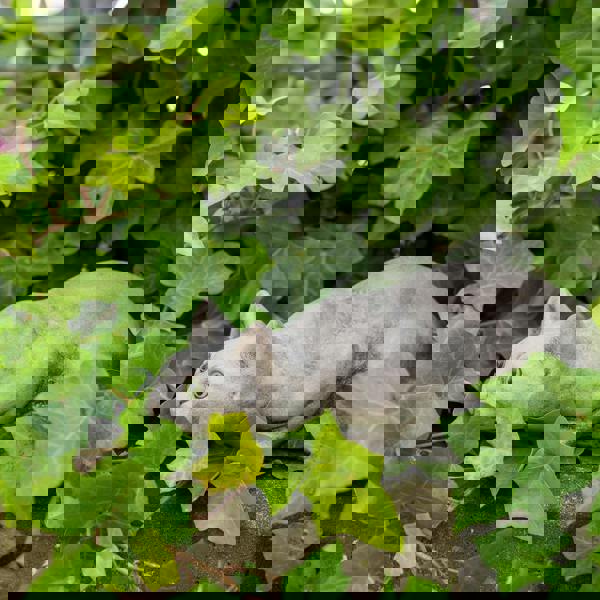 Stone Cast Prowling Cat Sculpture