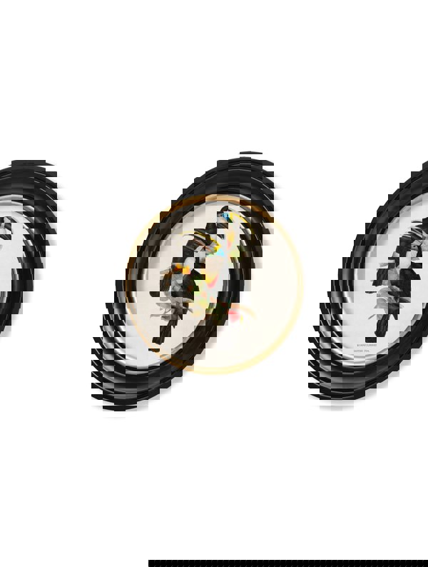Exceptional Art c.1848 Toucans - Round Frames