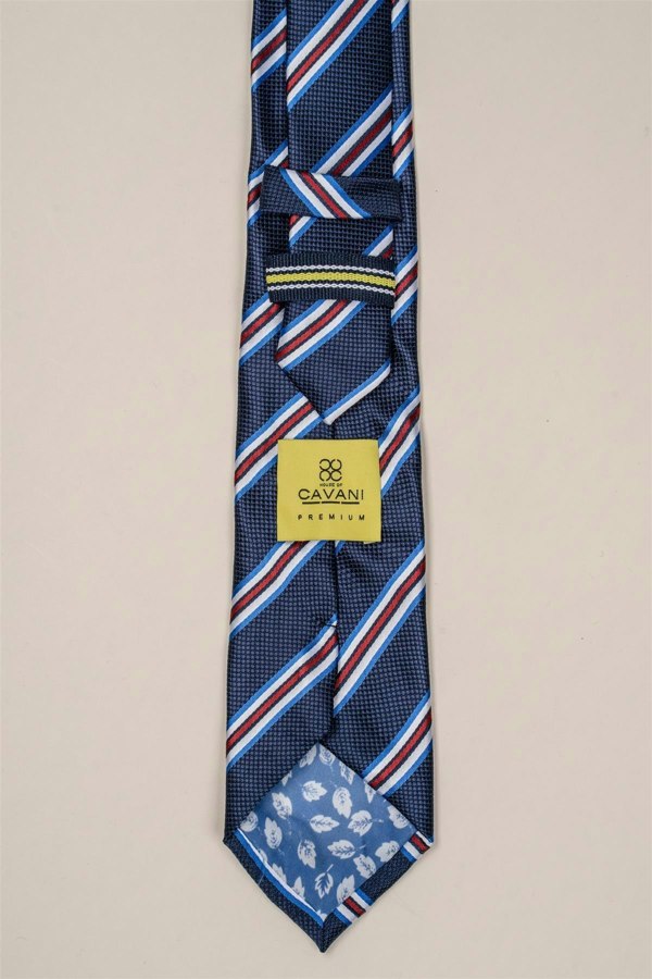 CV801 striped tie