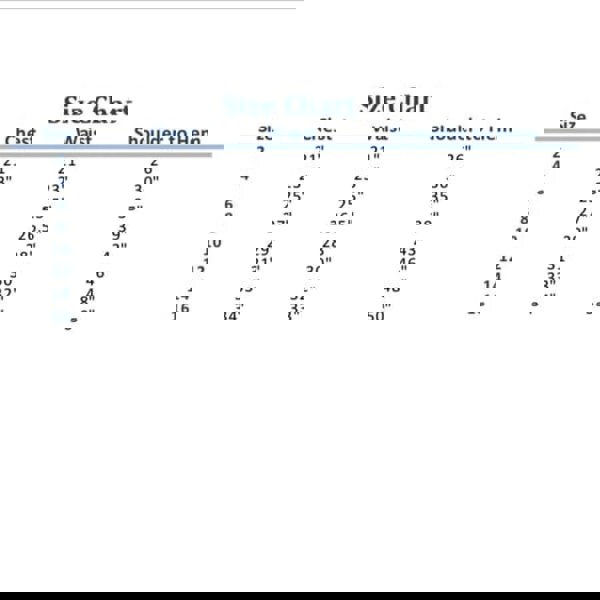 Size chart for Maire White Butterfly Sleeve Girls Dress