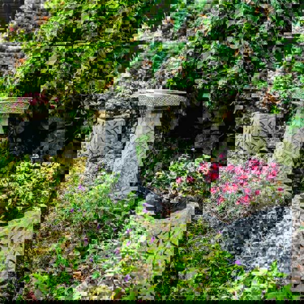 Celtic style Birdbath and Planters – Set