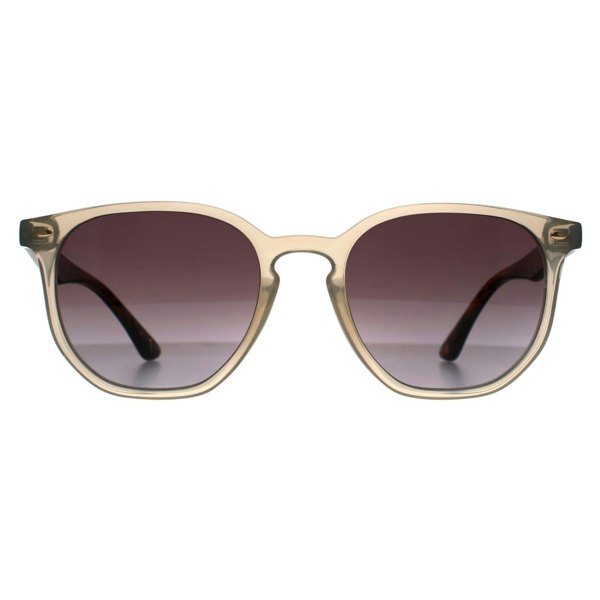 Ted Baker Sunglasses TB1655 Dock 901 Transparent Gray and Havana Brown Gradient