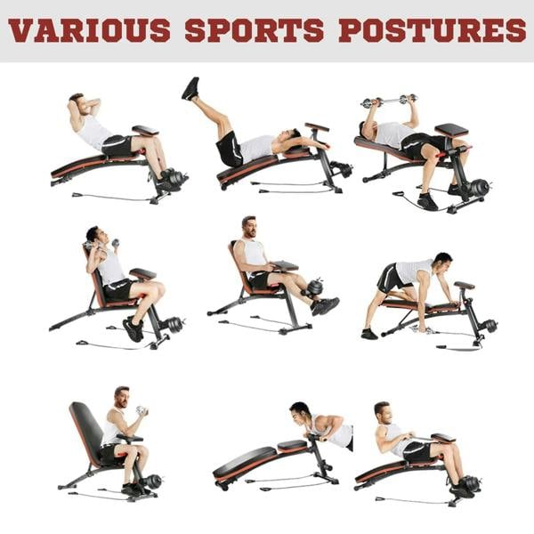 Adjustable weight bench showing multiple workout positions, red-trim incline and decline pads