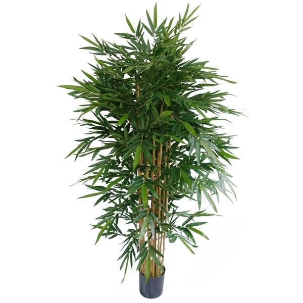 Botanik 180cm Premium UV Resistant Bamboo