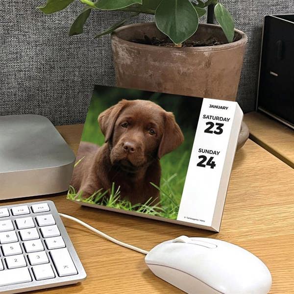 Labrador Retrievers Desk Calendar 2027, Desk Calendars, Day To View, Dogs, Gift
