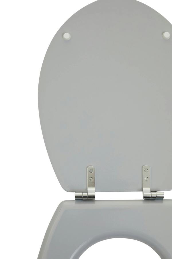 Maison by Premier Brooks Matte Toilet Seat