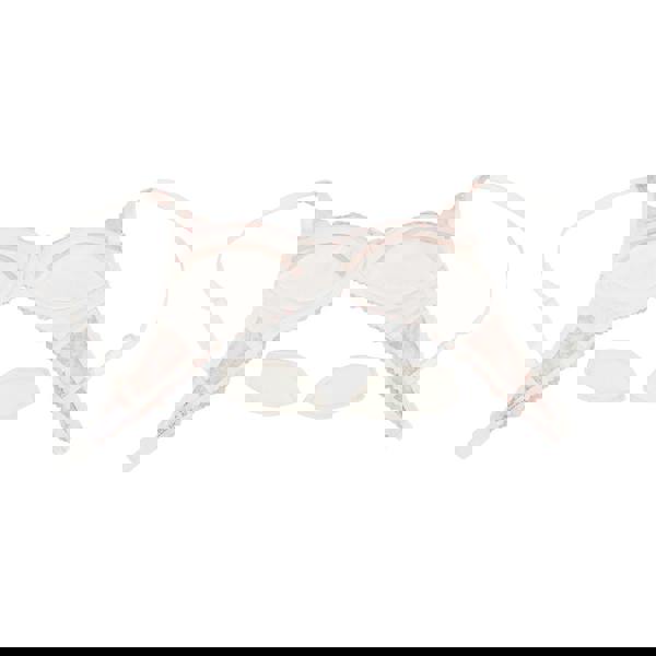 Little-Women-Delicately-You-Non-wired-Removable-Medium-Padded-Bra_