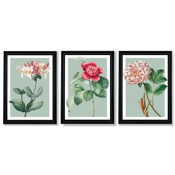 Artze Wall Art Vintage Flowers Honeysuckle, Peony Set of 3 Framed Prints