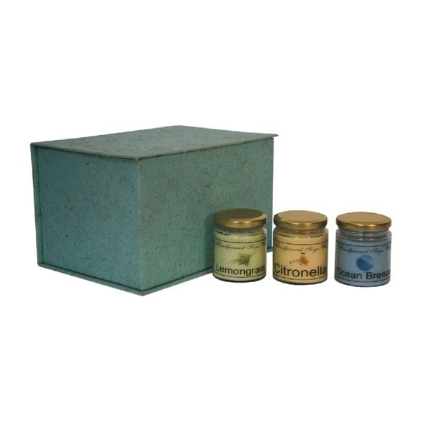 Artisan Furniture Candle Gift Set of 3 (Summer)