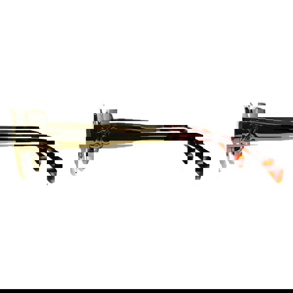 Celine Sunglasses Metal Triomphe CL40293U 30N Shiny Endura Gold Green