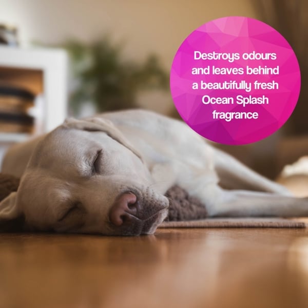 Pretty Pooch Pet Steam Detergent for Steam Mops Kills 99.9% of Bacteria Neutralises Stinky Odours