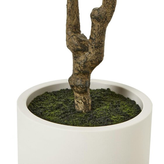 Wyld Haus 210cm Tall Mediterranean  Artificial Olive Tree In White Ceramic Pot